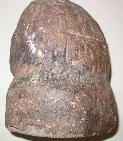 Paltz Stone Head