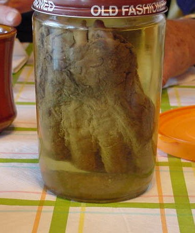 Hand in Jar