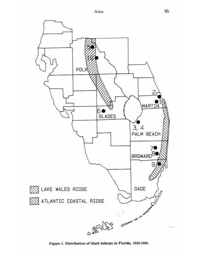 Florida Black Bobcat Distribution