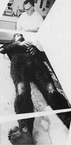 John Chambers Burbank Bigfoot
