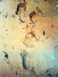 Malaysia Bigfoot Footprints
