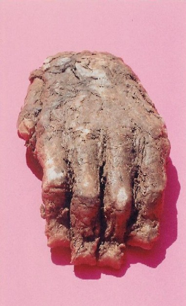 Biscardi Bigfoot Hand