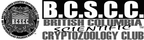 BCSCC flag