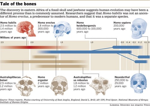 Tale of the Bones