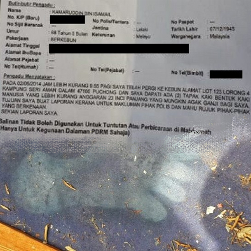 Heavily Redacted Police report of Bigfoot Encounter in Malaysia