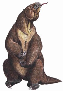 Megatherium ground sloth, public domain