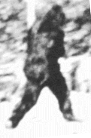Patterson/Gimlin Film Images