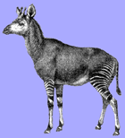 ISC Okapi