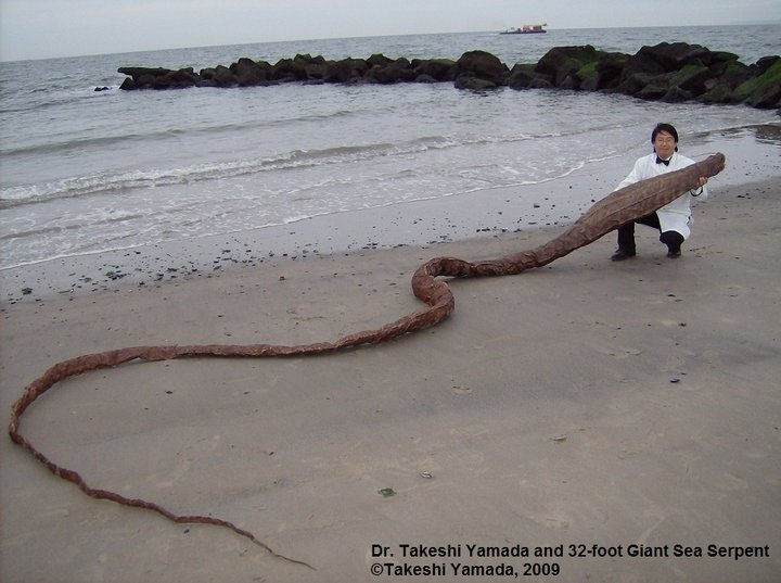 Sea Serpent Carcass or Gaff