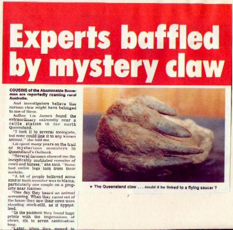 Australian Mystery Claw