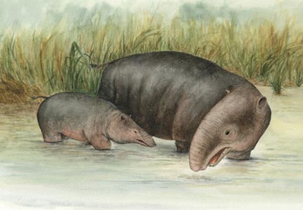 prehistoric eleph-hippo