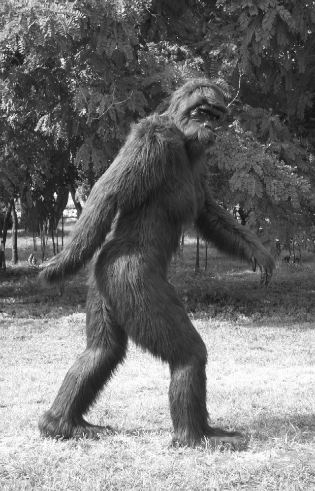 Bigfoot Wikipedia