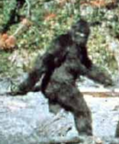 Bigfoot In Alaska