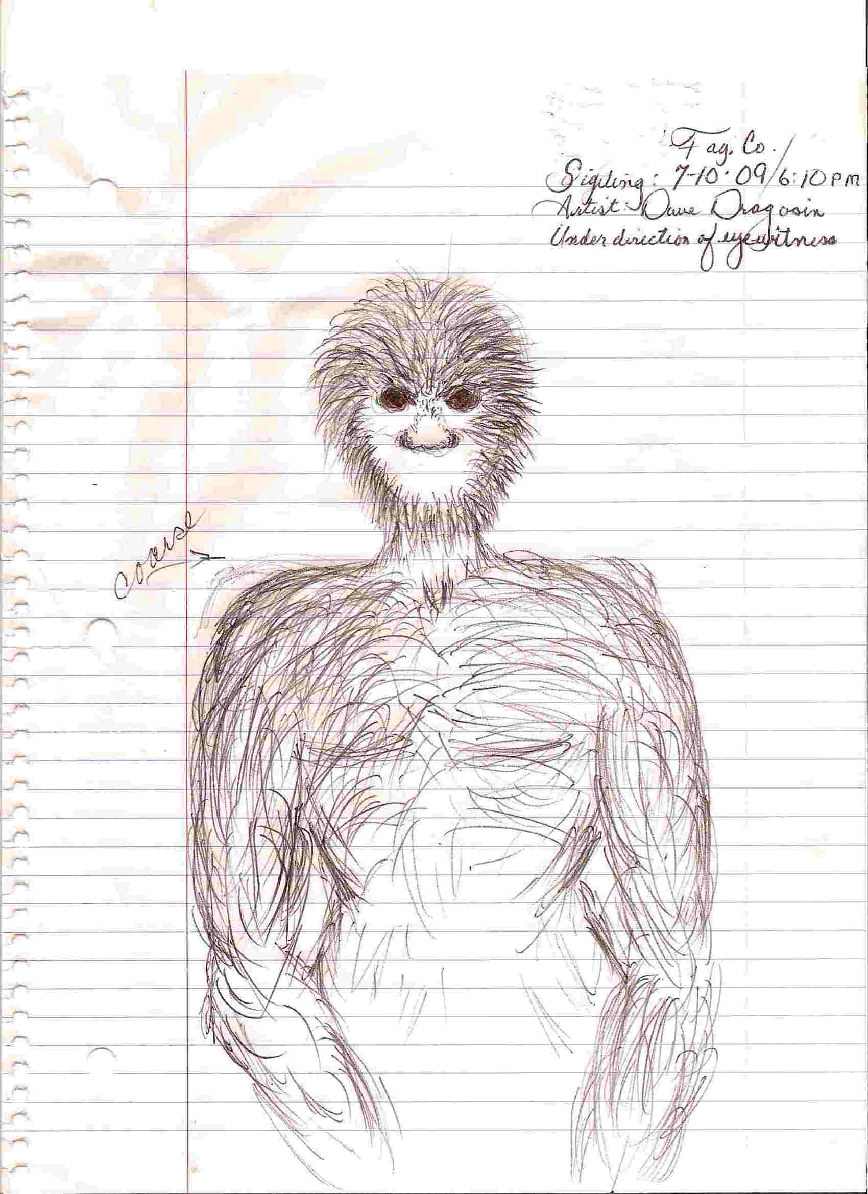 best bigfoot drawings