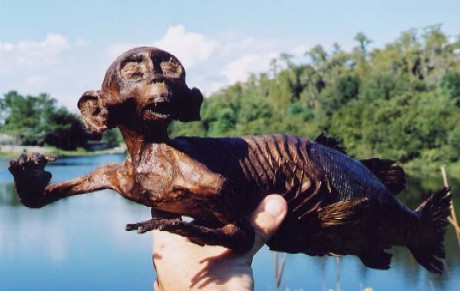 Feejee Mermaid