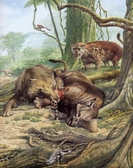 Andrewsarchus and why are