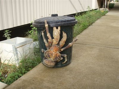 coconut_crab1.jpg