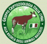 Okapi Logo