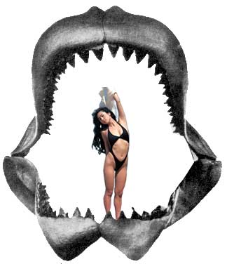 megalodon shark eating