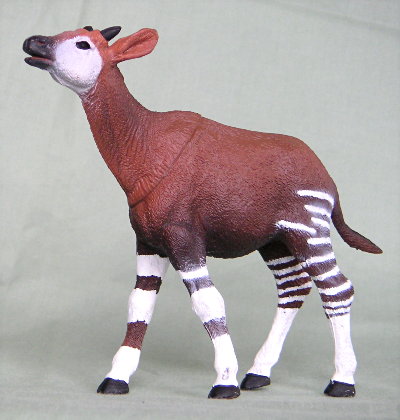 okapi