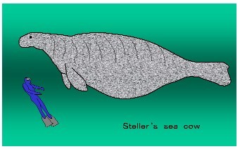 Stellers Sea Cow