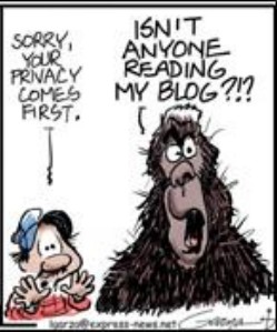 Bigfoot blog 1