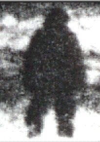 Fouke Monster Photo