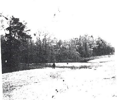 Fouke Monster Photo