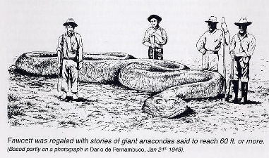 Giant Snakes