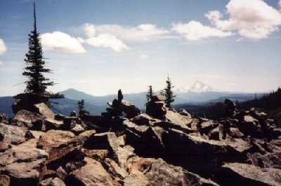 Glen Thomas Bigfoot Site