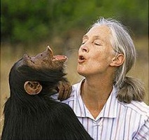 Jane Goodall