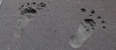 Grauman Bigfoot Prints