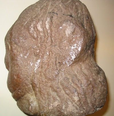 Paltz Stone Head