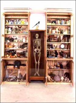 Cabinet of Curiousities
