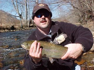 Mitchell River Monster