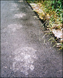 Malaysia Tracks