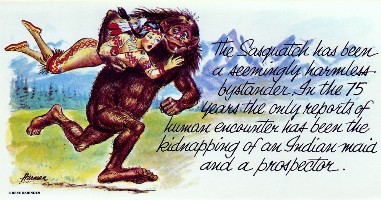 Sasquatch Kidnapping