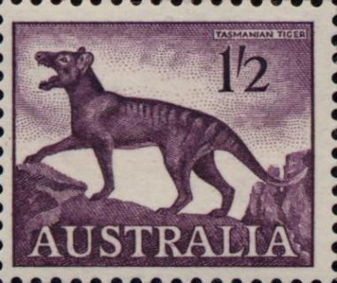 Thylacine