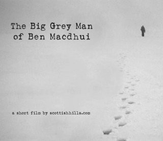 Big Grey Man