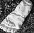 Footprint Cast