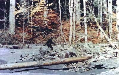 Patterson Gimlin Bigfoot Film