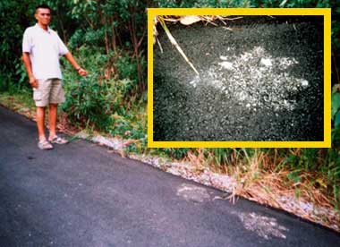 Malaysia Bigfoot Footprints