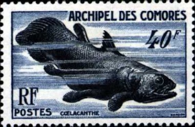 Coelacanth