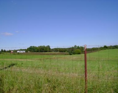 Carter Farm