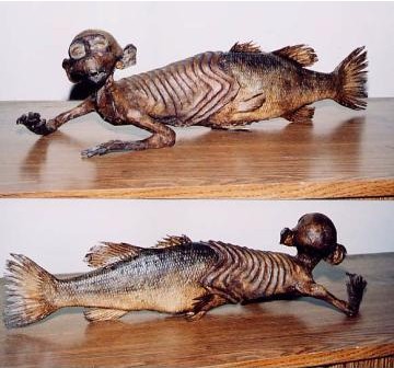 Fiji Mermaid