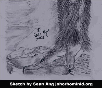 Johor Hominid Hand