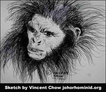 Johor Hominid Face