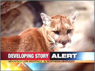 Kentucky Cougar Sightings