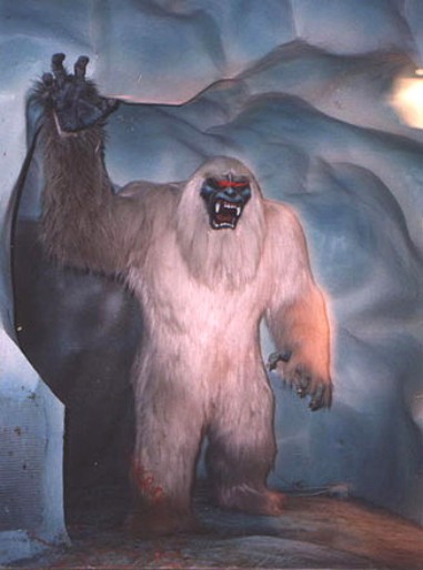 Disney Yeti