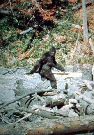 Patterson Gimlin Bigfoot Film